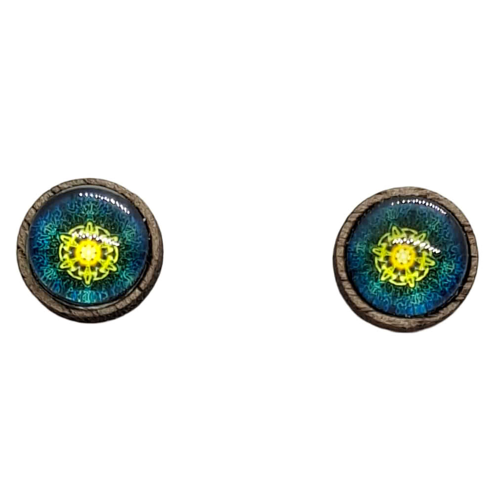 rumeno-modri medaljon leseni uhani